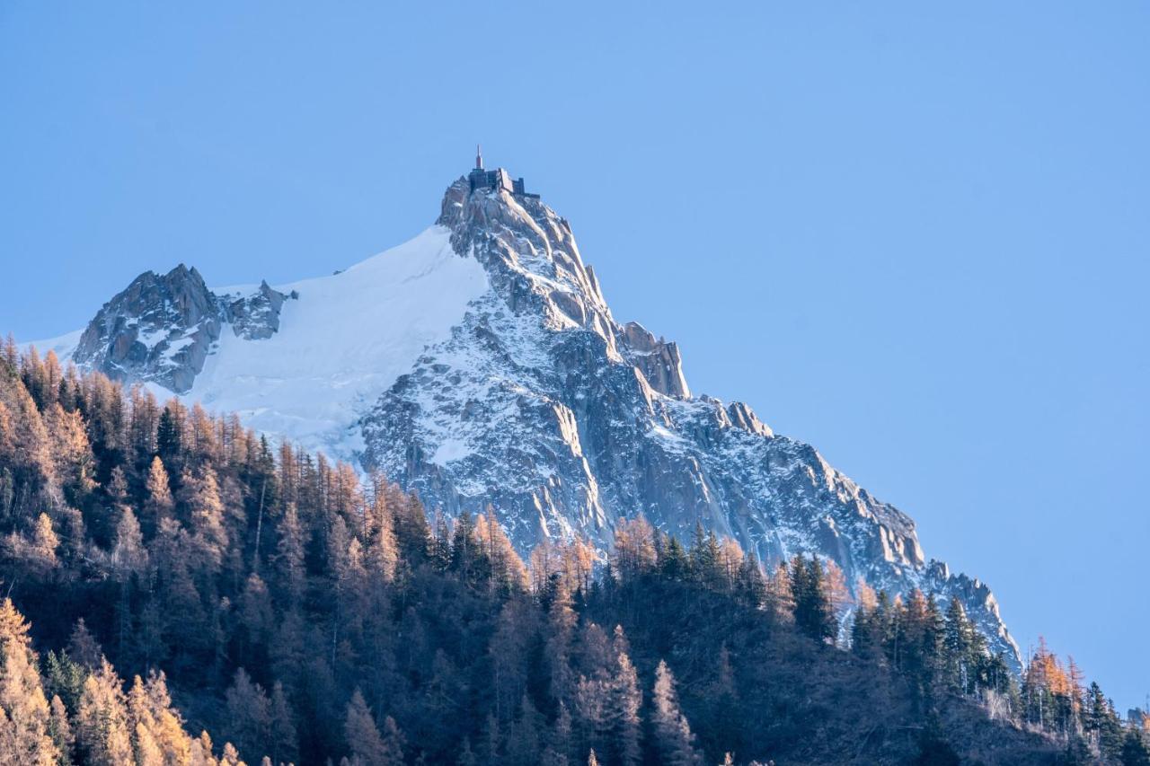 Chamonix Sud Studio With Mont Blanc Views Экстерьер фото