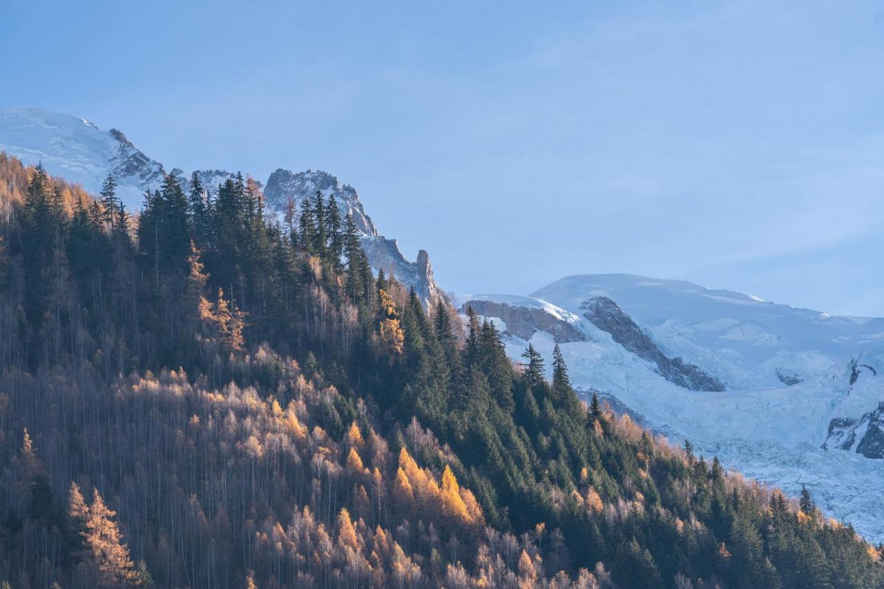 Chamonix Sud Studio With Mont Blanc Views Экстерьер фото